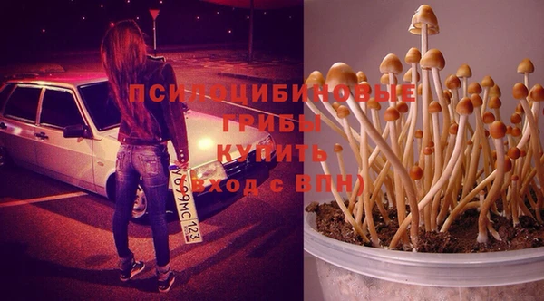 каннабис Осинники