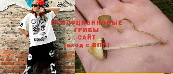а пвп мука Осташков
