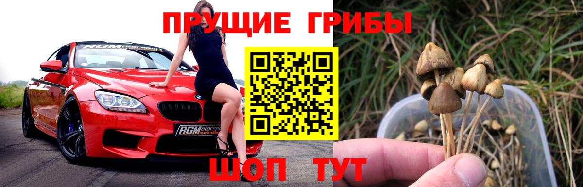 Галлюциногенные грибы GOLDEN TEACHER Сальск